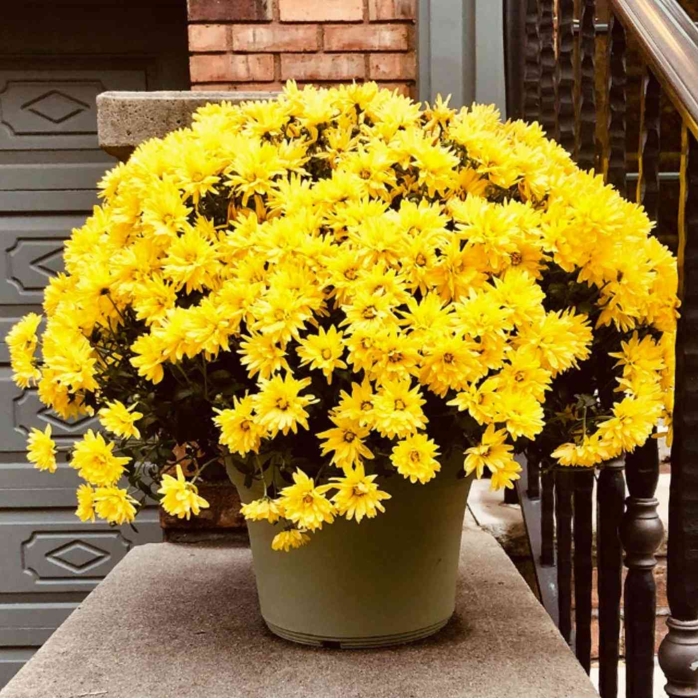 Integrate Fall Entrance Decorations with Existing Planting